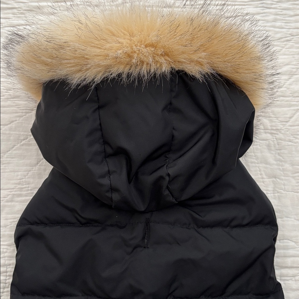 Pajar Dog Jacket - Picture 10 of 13